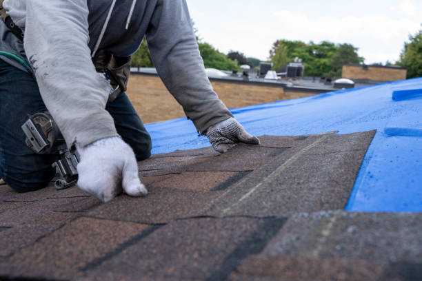 Best Storm Damage Roof Repair  in Nitro, WV