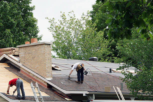 Best Roof Repair Services  in Nitro, WV