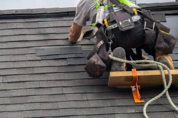 Best New Roof Installation  in Nitro, WV